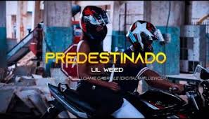 Lil Weed – Predestinado