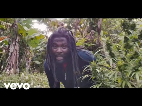 Jah Bouks – Farma Black